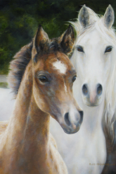 Mare and Foal