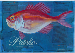 Patohe
