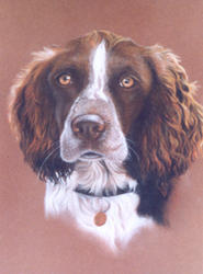Jess