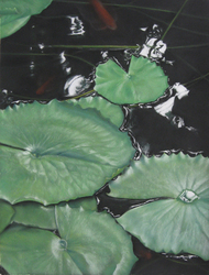 Lily Pond