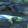 Hobby & Craft: Special Effects : Shell Laminate 100 x 200