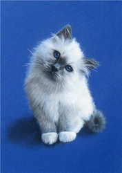 Casper