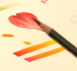 Tips & Techniques : Faber-Castell Polychromo Pencil Video Demo