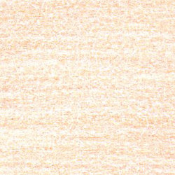 Coloured Pencils: Procolour Pencils 062 Autumn Leaf