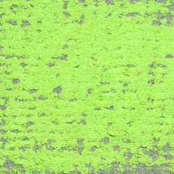 Soft: Art Spectrum Soft Pastels Grass Green 573T