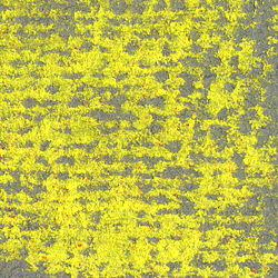 Soft: Art Spectrum Soft Pastels Lemon Yellow 502P