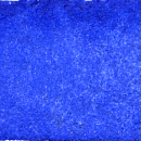 Watercolour -Professional: Art Spectrum Watercolour 10ml S4 Cobalt Blue