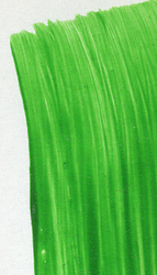 Acrylic -Professional: Matisse 75ml S2 Permanent Green Light 