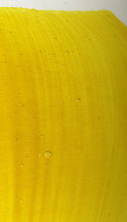 Acrylic -Professional: Matisse 75ml S7 Aureolin Yellow 