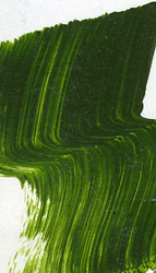 Acrylic -Professional: Matisse 75ml S3 Australian Sap Green 