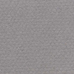 Pastel: Canson Mi-Teintes 500 x 650 122 Flannel Grey