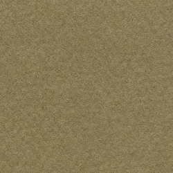 Pastel: Canson Mi-Teintes 500 x 650 336 Sand