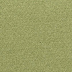 Pastel: Canson Mi-Teintes 500 x 650 480 Light Green