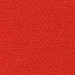 Pastel: Canson Mi-Teintes 500 x 650 506 Poppy Red