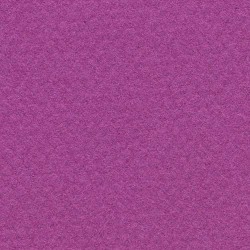 Pastel: Canson Mi-Teintes 500 x 650 507 Violet