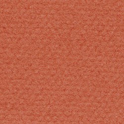Pastel: Canson Mi-Teintes 500 x 650 130 Red Earth