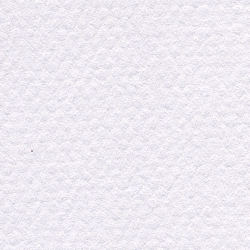 Pastel: Canson Mi-Teintes 500 x 650 120 Pearl Grey