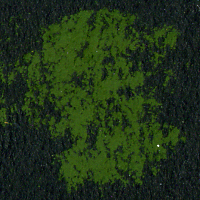 Soft: Rembrandt Soft Pastels 626.3 Cinnabar Green Light
