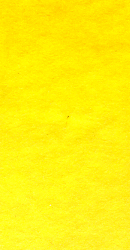 Watercolour -Student: Winsor & Newton Cotman Half Pan 109 Cadmium Yellow