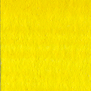 Oil -Student: Winsor & Newton Winton Oil 200ml 119 Cadmium Yellow Pale Hue