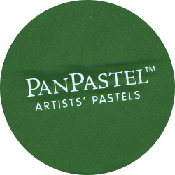 PanPastels: PanPastels 640.3 Permanent Green Shade