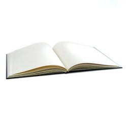 Sketchbooks: Daler-Rowney Hardback Sketchbooks