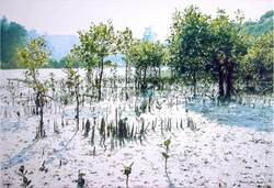 Elspeth Alix Batt: Morning Mangroves
