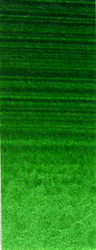 Acrylic -Professional: Winsor & Newton Artists' Acrylics S3 311 Hooker's Green