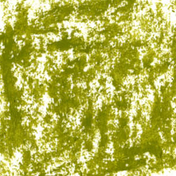 Oil: Caran d'Ache Neopastel Crayons 016 Khaki Green