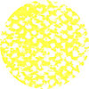 Permanent Yellow 1 Lemon 002D