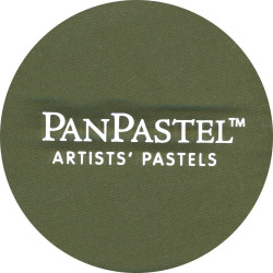 PanPastels: PanPastels 680.1 Bright Yellow Green Extra Dark