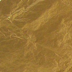 Special Effects: Loose Leaf Sheets Gold