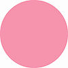 577 Pale Pink (New Colour)