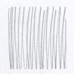 Pencils: Faber-Castell 9000 Pencils F