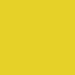 Coloured Pencils: Prismacolor Art Stix Canary Yellow