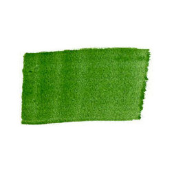 Pens & Markers: Liquitex Professional Paint Markers 2mm 224 Hooker's Green Hue Permament