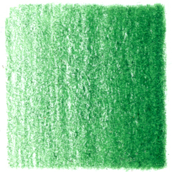 Coloured Pencils: Prismacolor Verithin Pencils Grass Green