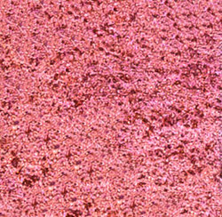 Special Effects: Pearl Ex Mica Pigments 3gram 632 Magenta
