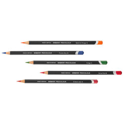 Coloured Pencils: Procolour Pencils 045 Light Moss