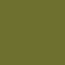 Airbrush Paint: Jacquard Airbrush Paint 453 Sneaker Series Military Green