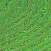 Dyes: Jacquard Basic Dyes 021 Green