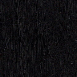 Oil Sticks -Professional: R&F Pigment Sticks S2 Intense Carbon Black