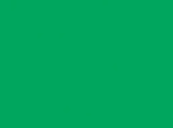 Dyes: Procion MX Fiber Reactive Dyes 1 Pound Bright Green