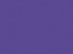 Dyes: Procion MX Fiber Reactive Dyes 1 Pound Lilac