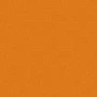 Dyes: Acid Dye 1 Pound Burnt Orange