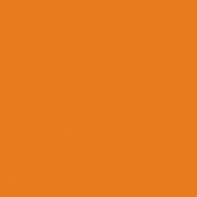 Dyes: Acid Dye 1 Pound Pumpkin Orange
