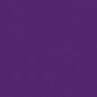 Dyes: Acid Dye 1 Pound Purple