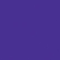 Dyes: Acid Dye 1 Pound Violet